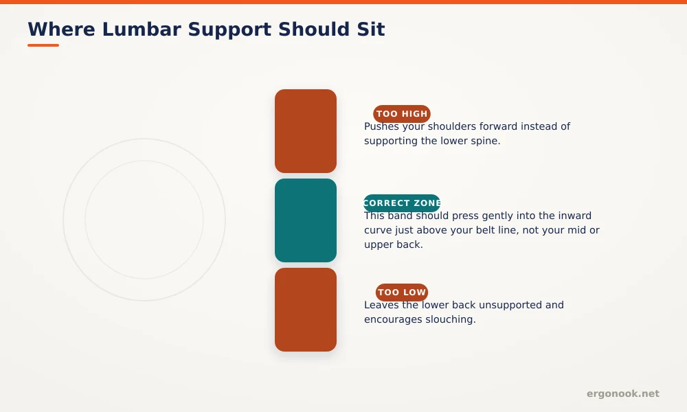 How to Reduce Back Pain From Sitting All Day 2 Diagram showing where lumbar support should sit on a chair back, comparing correct, too high, and too low positions