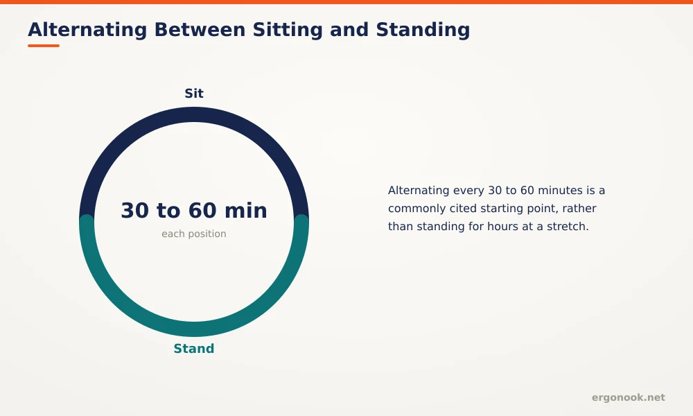 Are Standing Desks Worth It? 1 Circular diagram showing alternating 30 to 60 minute sitting and standing intervals at a desk