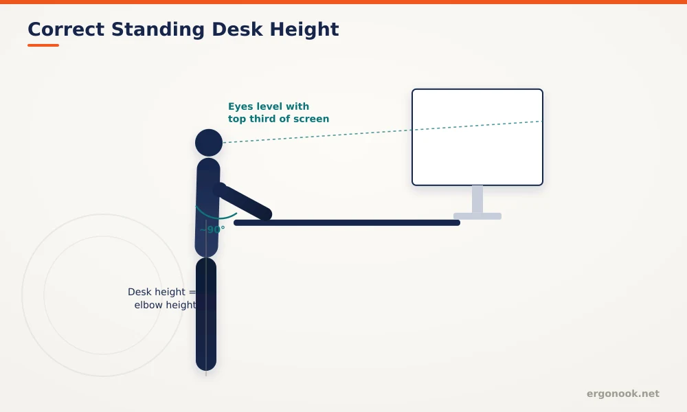 Are Standing Desks Worth It? 3 Diagram showing correct standing desk height with elbows near 90 degrees and monitor top at eye level