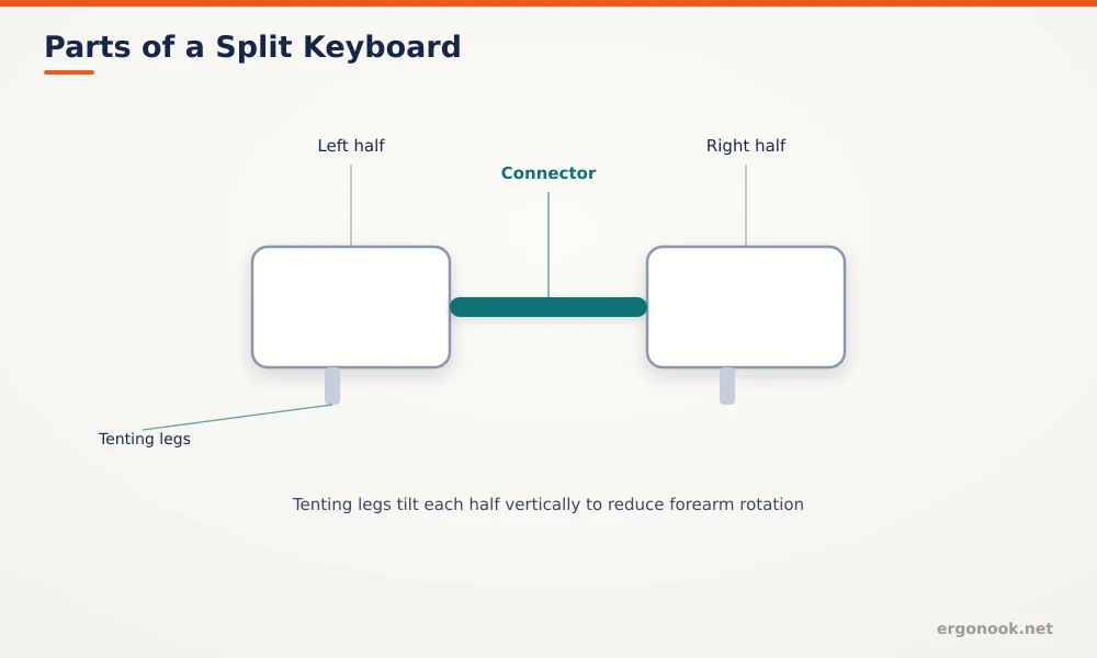 What Is a Split Keyboard?