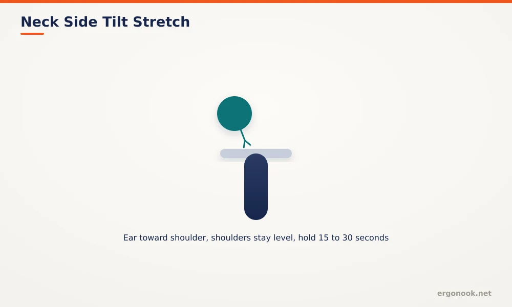 Desk Stretches for Office Workers
