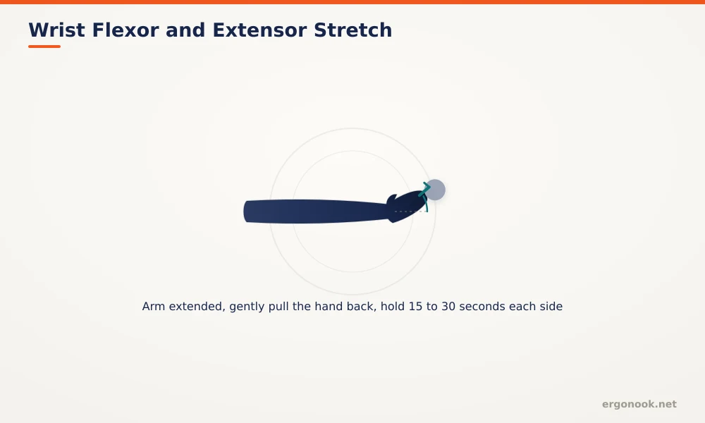 Diagram showing a wrist stretch with the arm extended and the hand gently pulled back with the other hand, held for 15 to 30 seconds