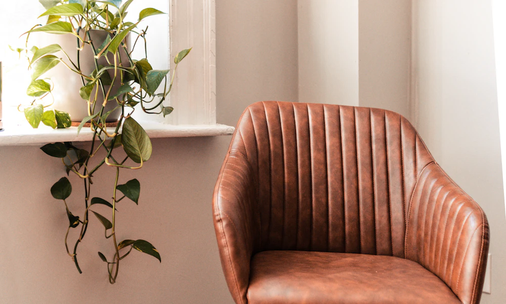 Black office chair beside a desk with a green plant in a home office