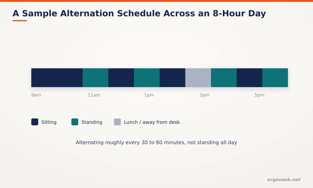 Timeline chart showing a sample 8-hour workday alternating between sitting and standing roughly every 30 to 60 minutes