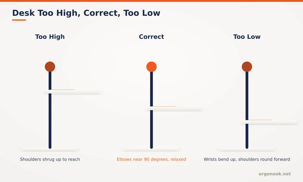 Correct Desk Height for Your Height 3 Three panel diagram comparing a desk too high causing shrugged shoulders, correct height with relaxed 90 degree elbows, and too low causing wrists to bend upward