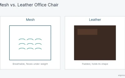 Mesh vs Leather Office Chair