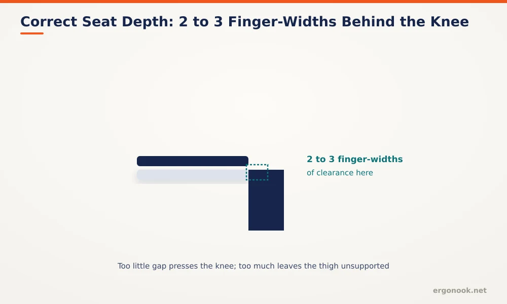 How to Adjust an Ergonomic Office Chair 4 Diagram showing correct seat depth with a two to three finger-width gap between the front of the seat and the back of the knee