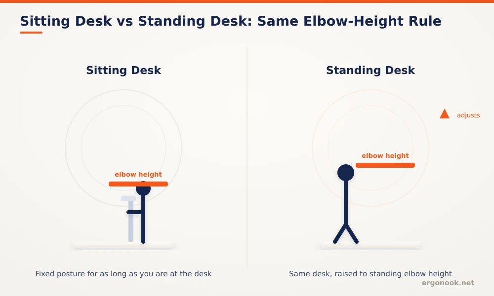 Standing Desk vs Sitting Desk: Which Is Better?